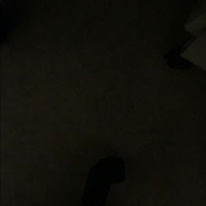 Karl Lagerfeld hats reserved